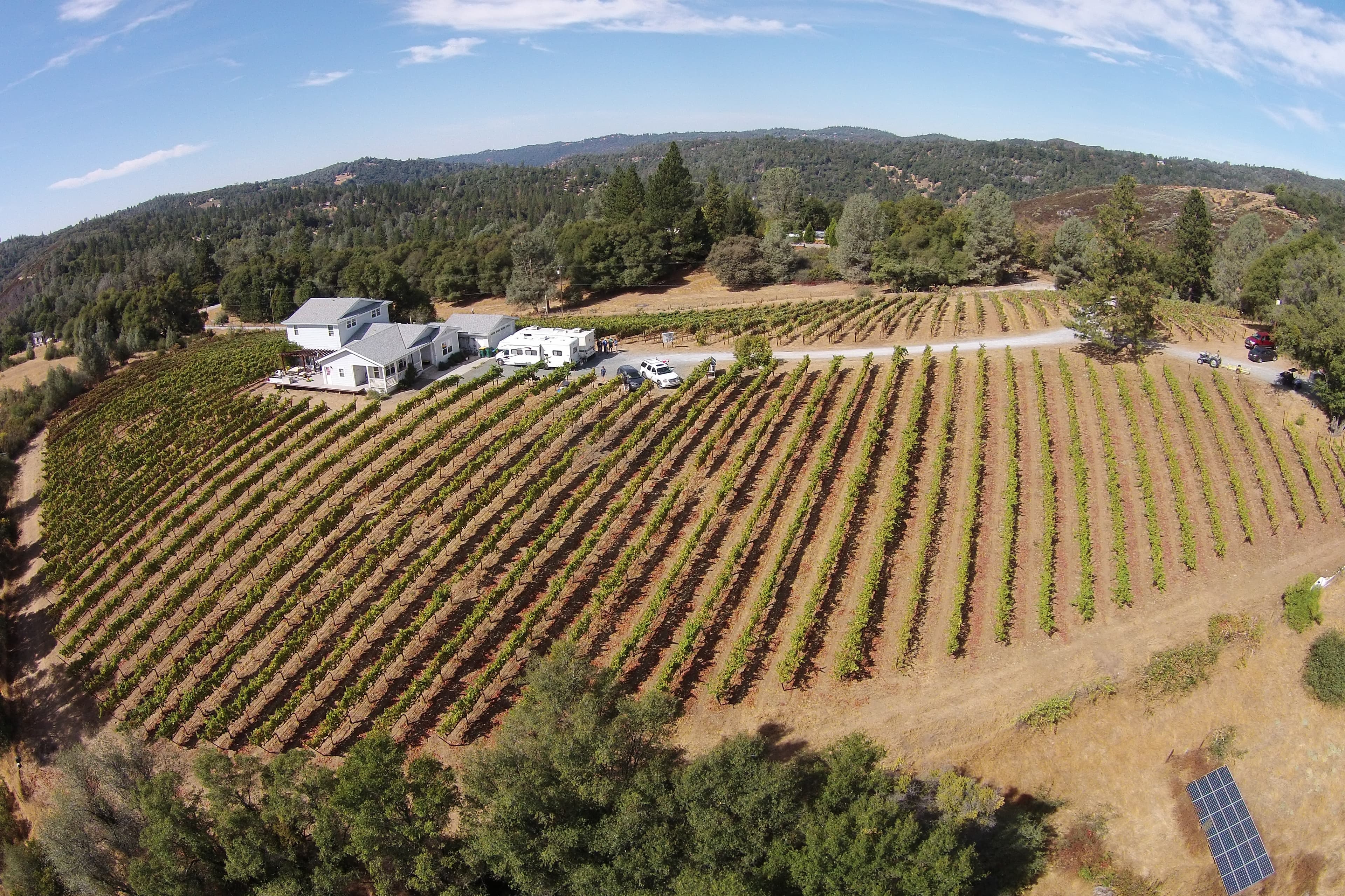 Aerial view of Apetahi Vineyard and Polynesian Girl Winery in the Sierra Foothills